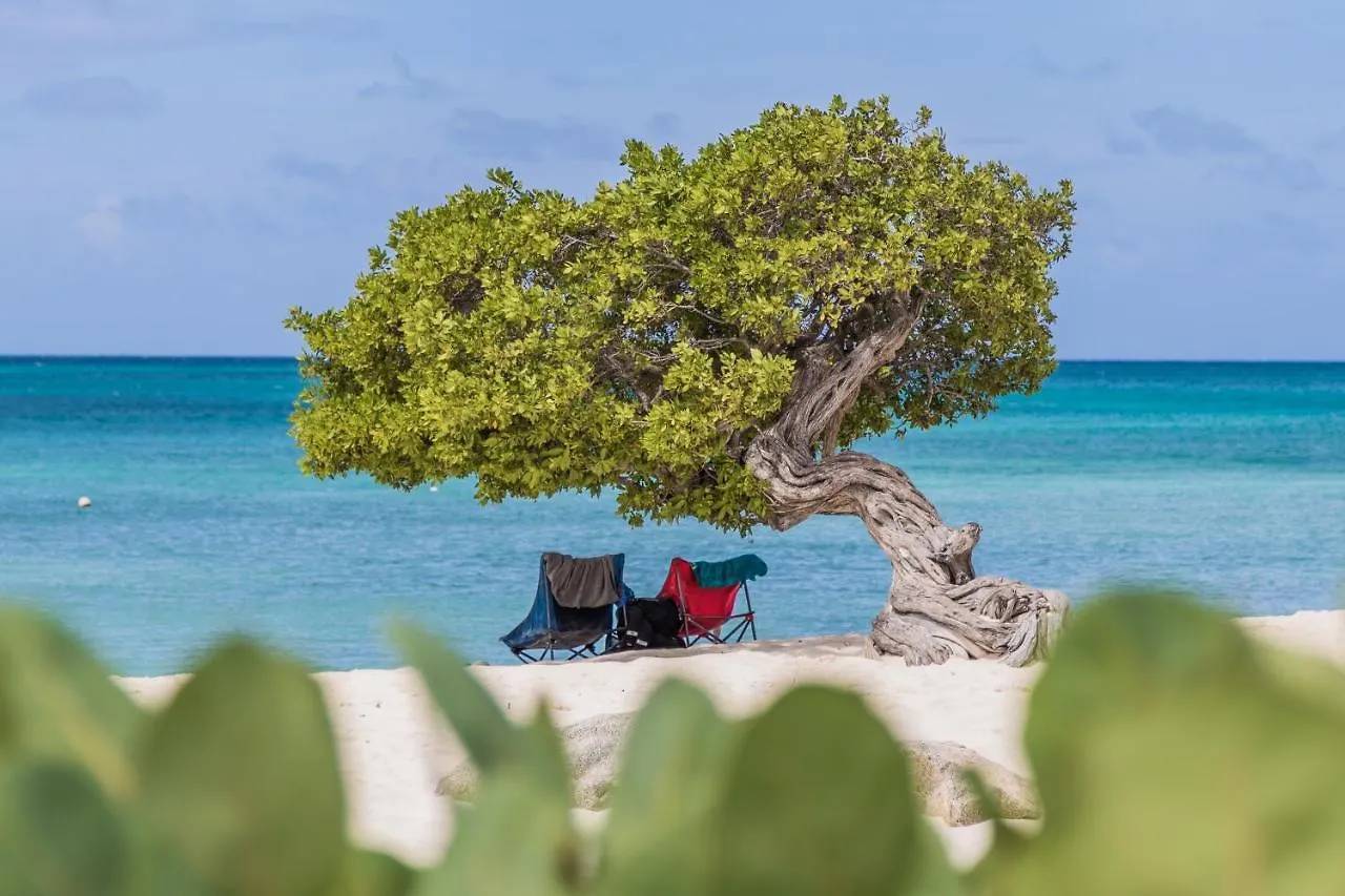 Apartment Like Under The Sea Where Darling Life Is Better Oranjestad Aruba